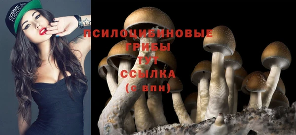 эйфоретик Балахна